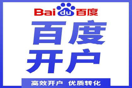 某电商平台的SEM推广实践与效果展示